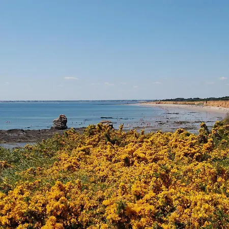 Cocon Breton